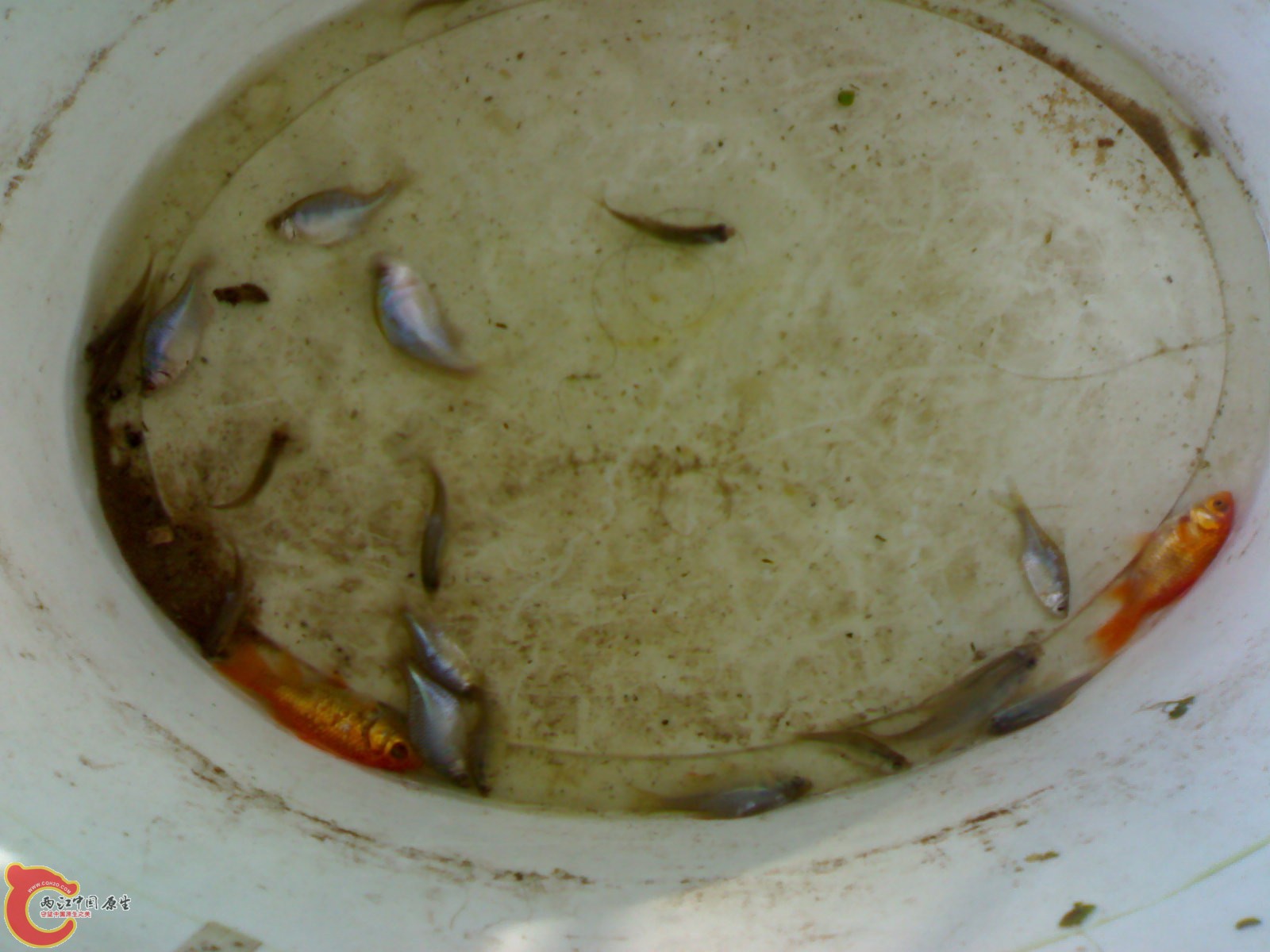 201011201009.jpg