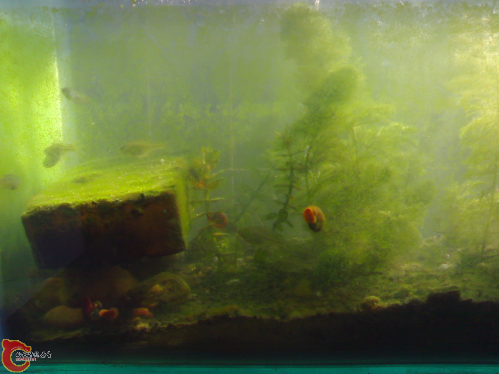 201011201020.jpg