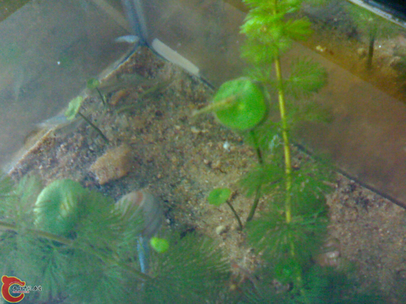 201011201021.jpg