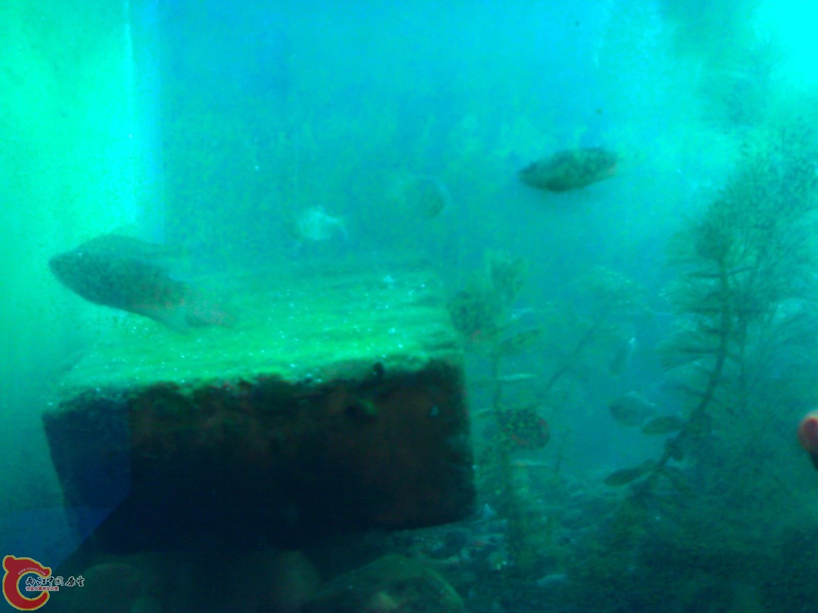 201011201019.jpg