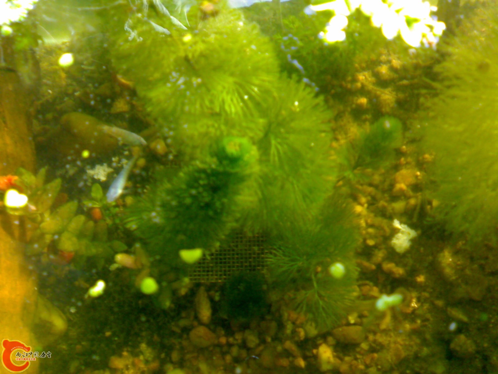 201011201017.jpg