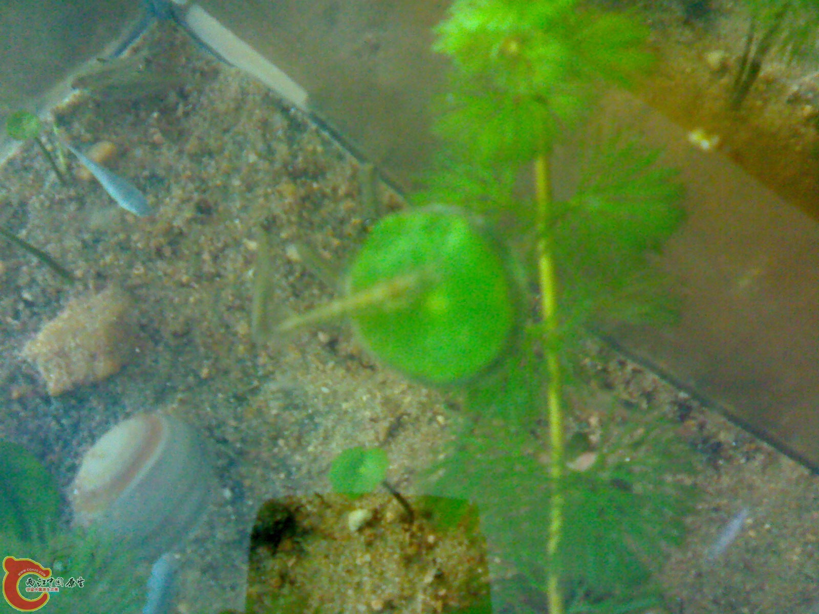 201011201022.jpg