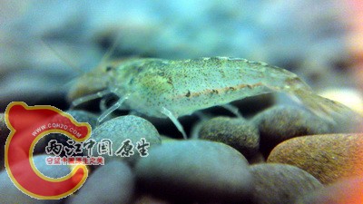 P21-11-10_16.43.jpg