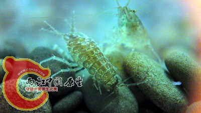 P21-11-10_16.44.jpg