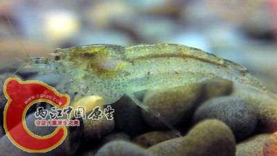 P21-11-10_16.47.jpg