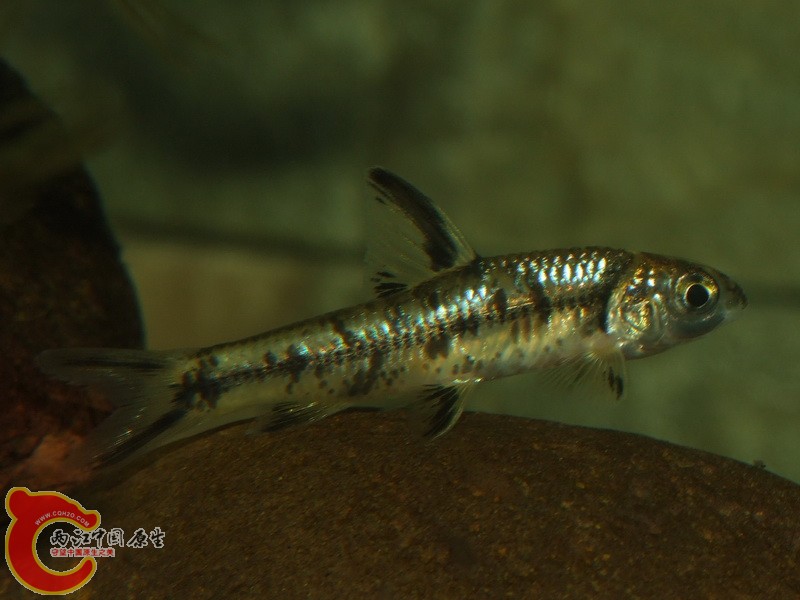 DSCF5523.jpg