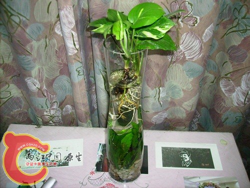 IMGP2090.JPG