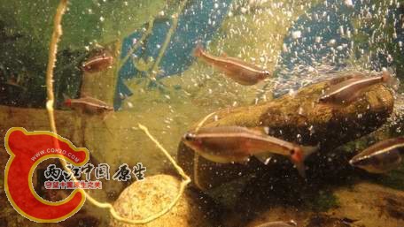 复件 DSC00766.JPG