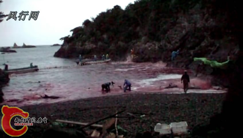暴风截屏20101121160735.jpg