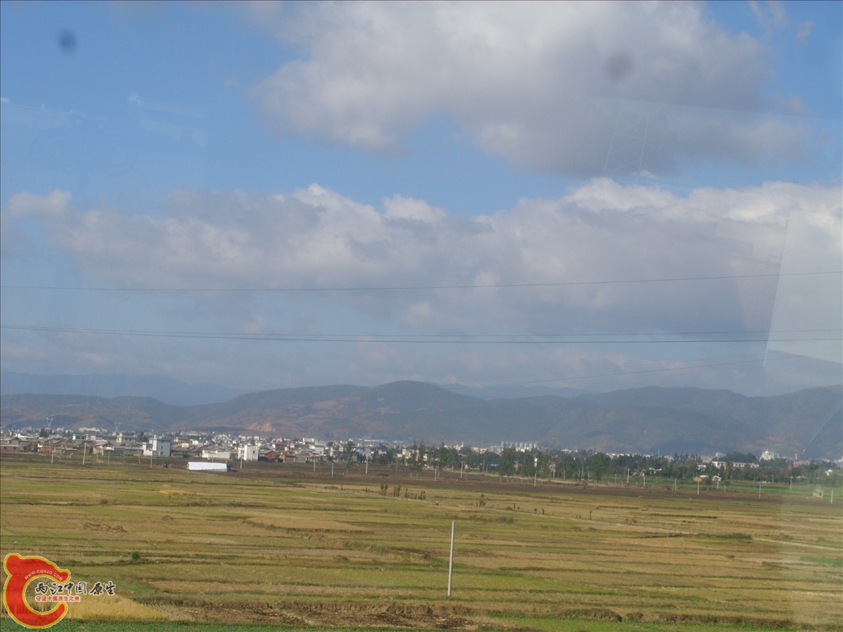 SS852131.JPG