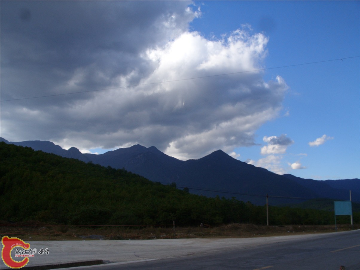 SS852190.JPG