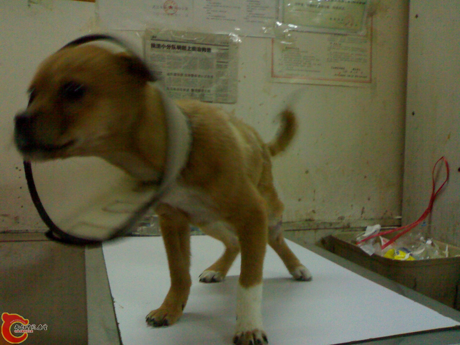 201011271143.jpg