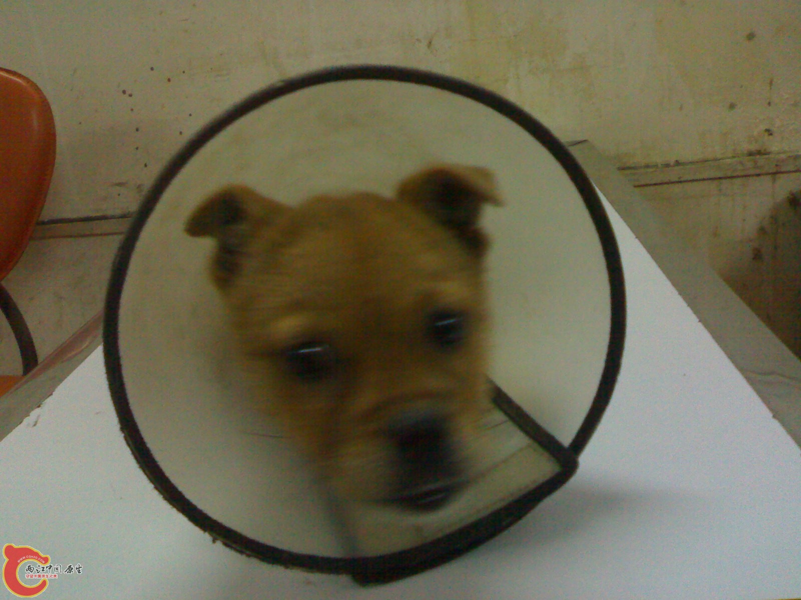 201011271153.jpg