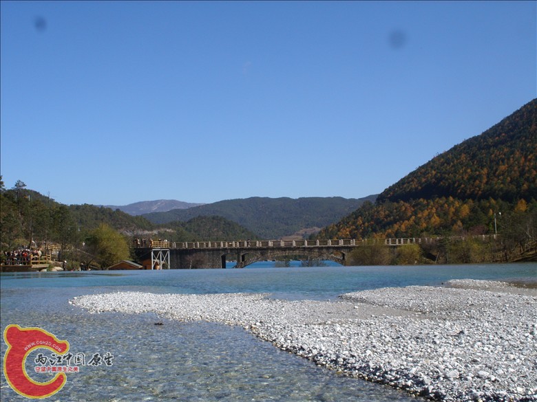 SS852274.JPG