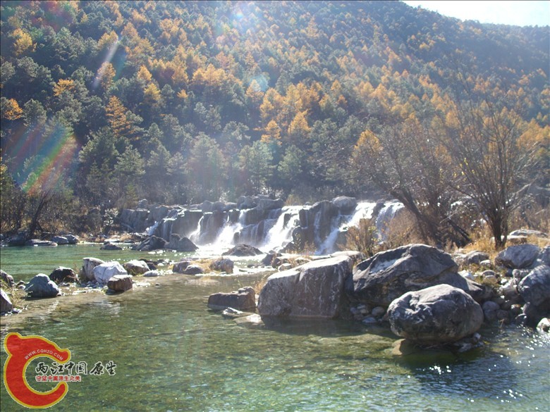 SS852281.JPG