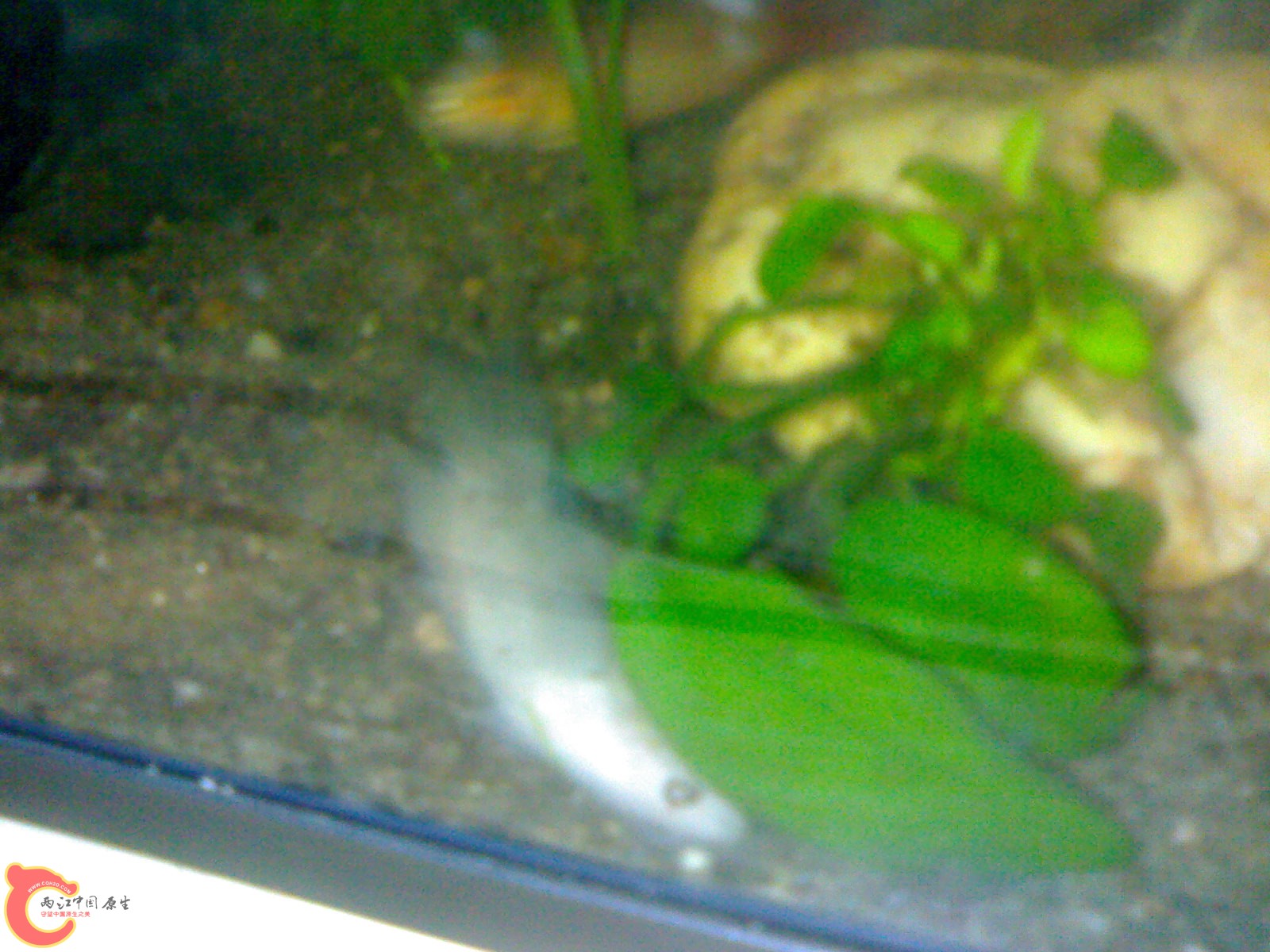 201012011229.jpg