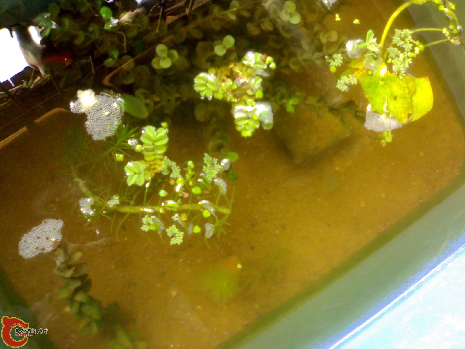 201012011228.jpg