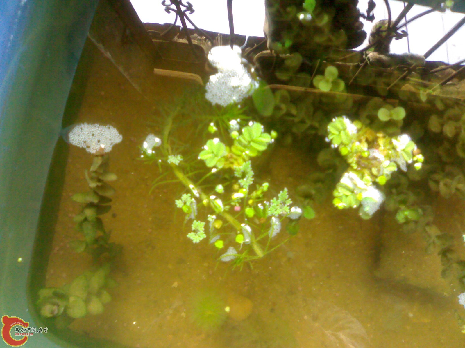201012011227.jpg