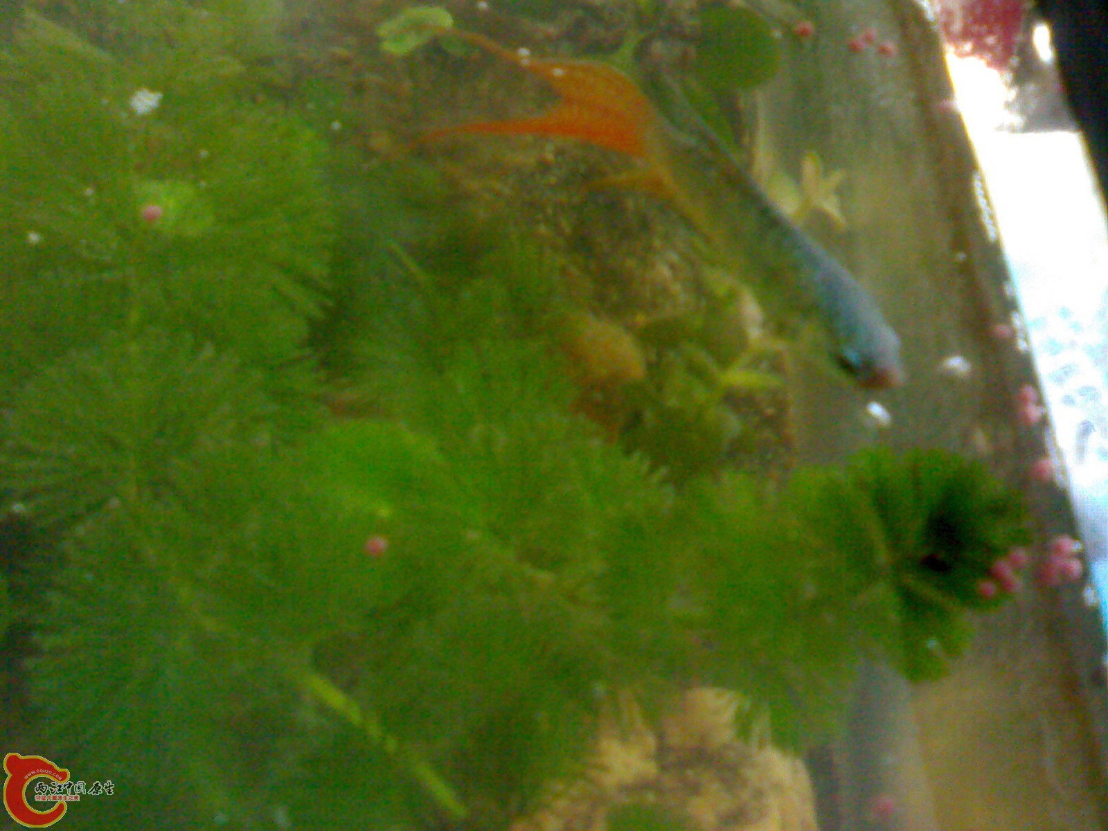201012011239.jpg