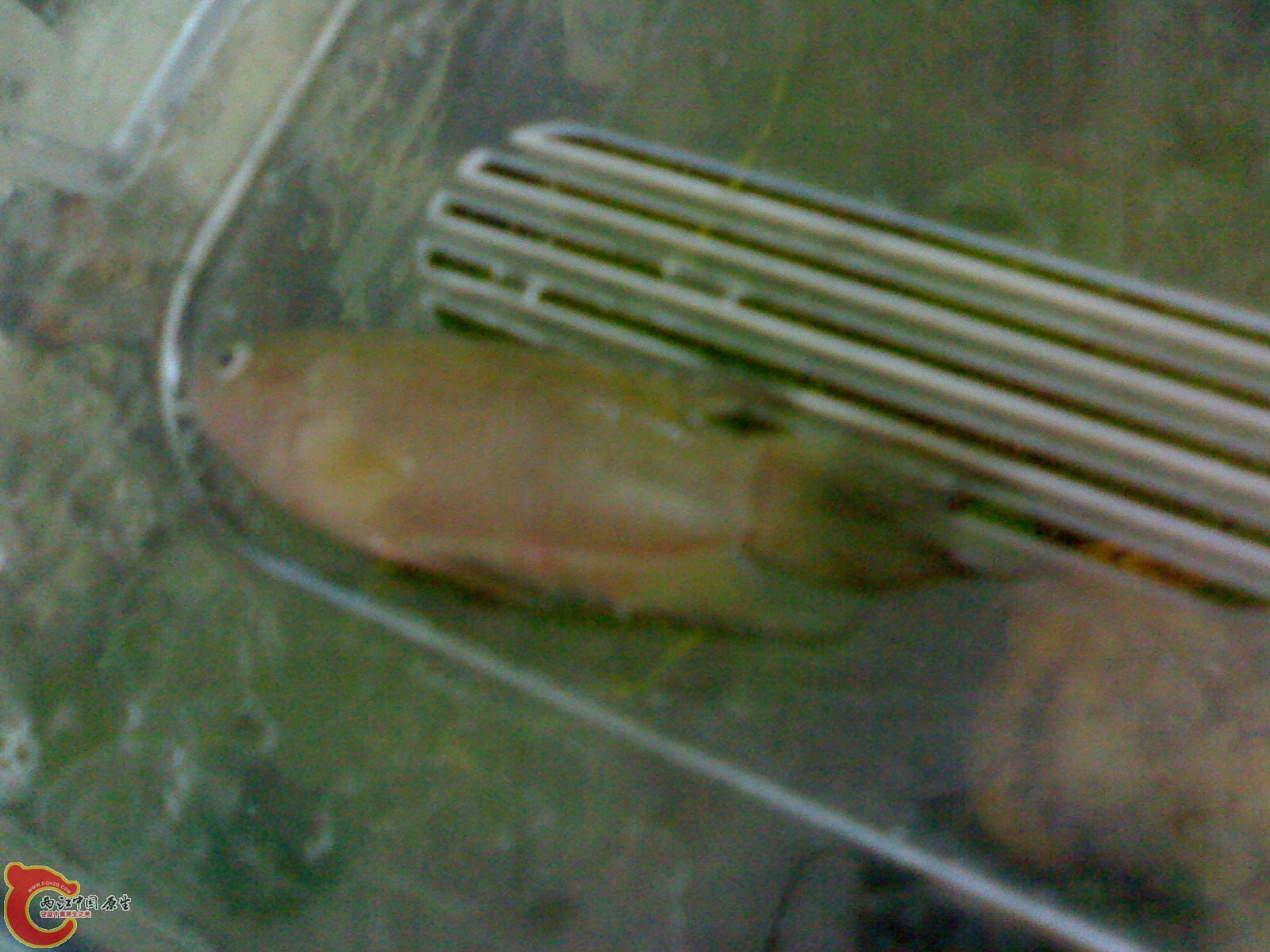 201012011232.jpg