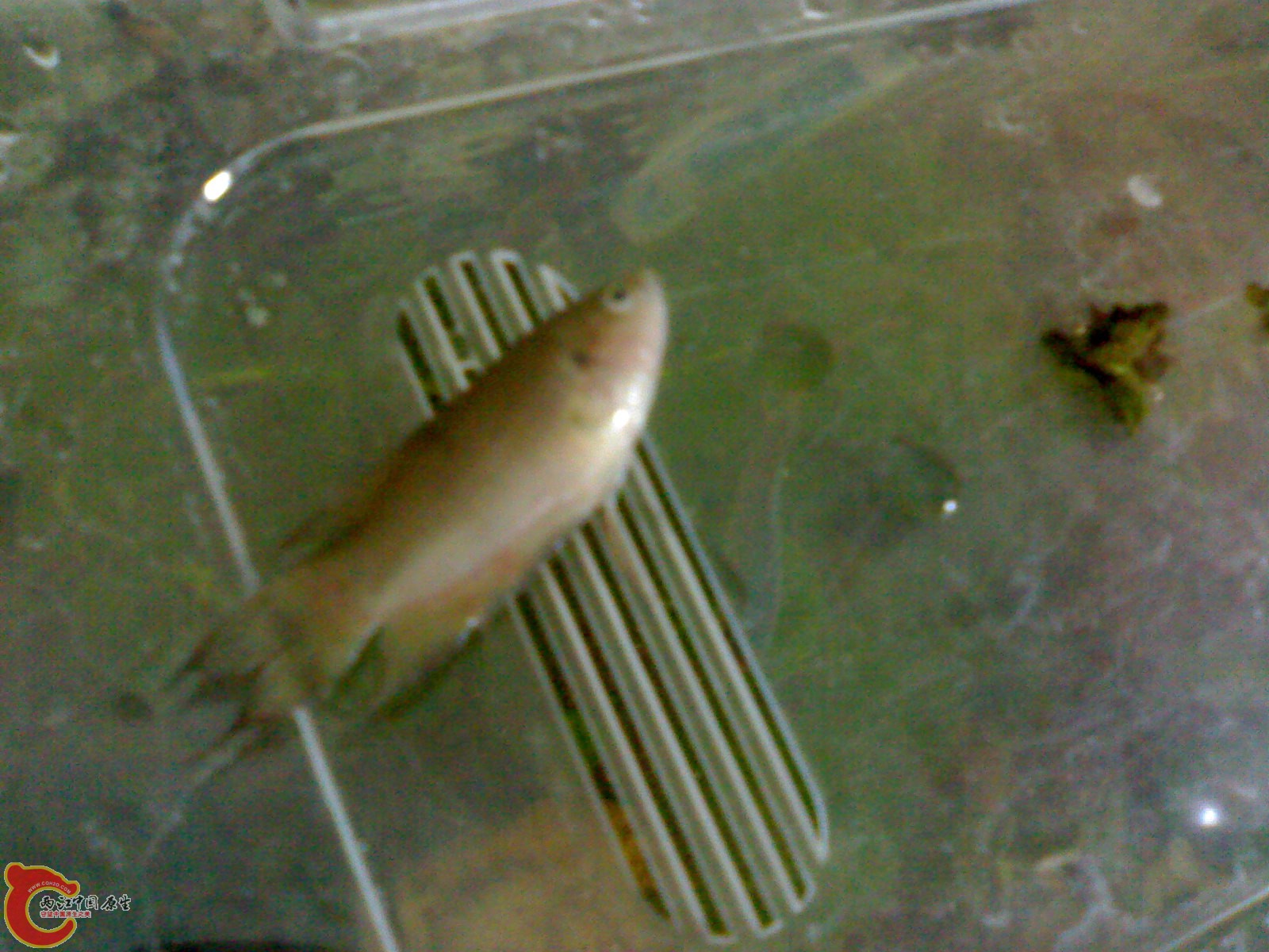 201012011231.jpg