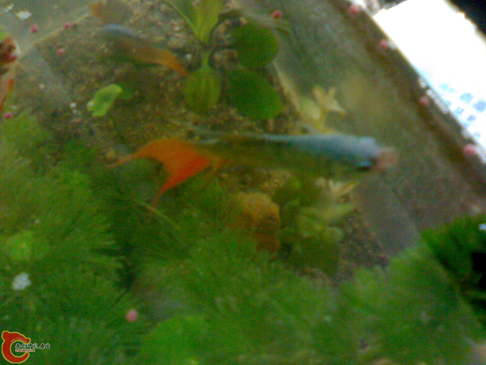 201012011240.jpg