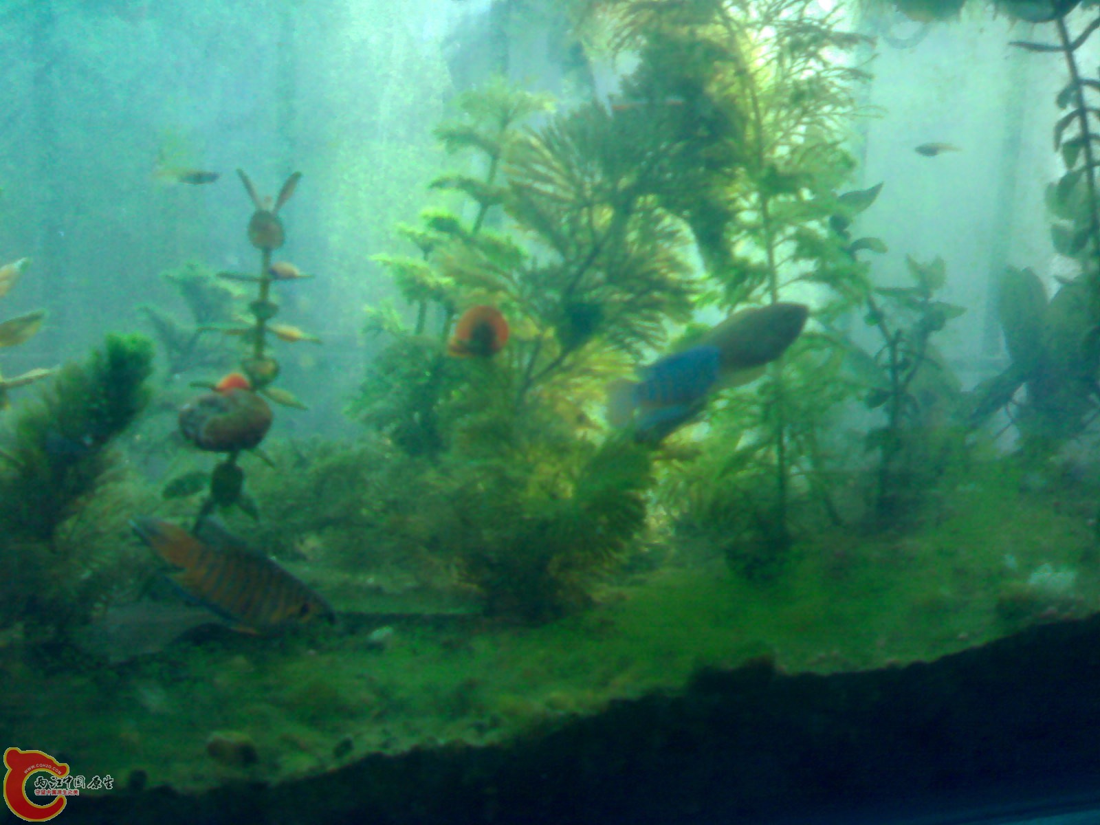 201012011243.jpg