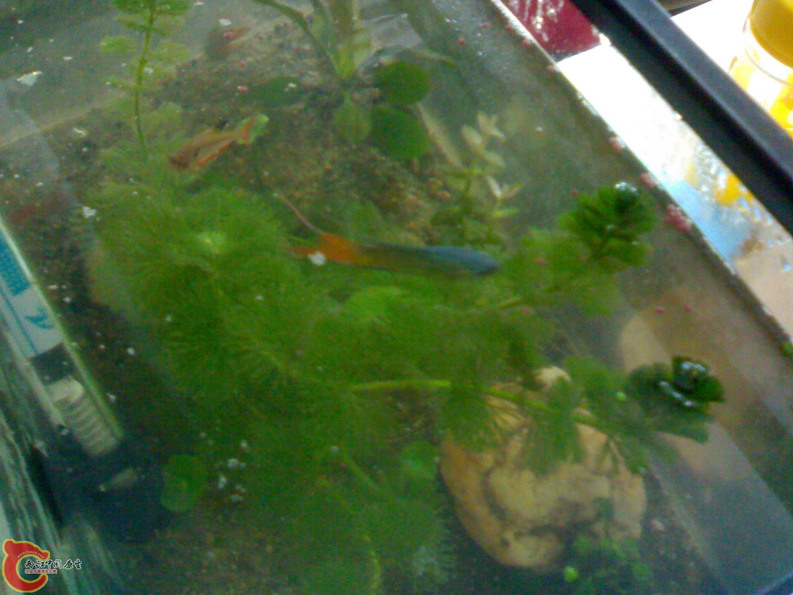 201012011241.jpg