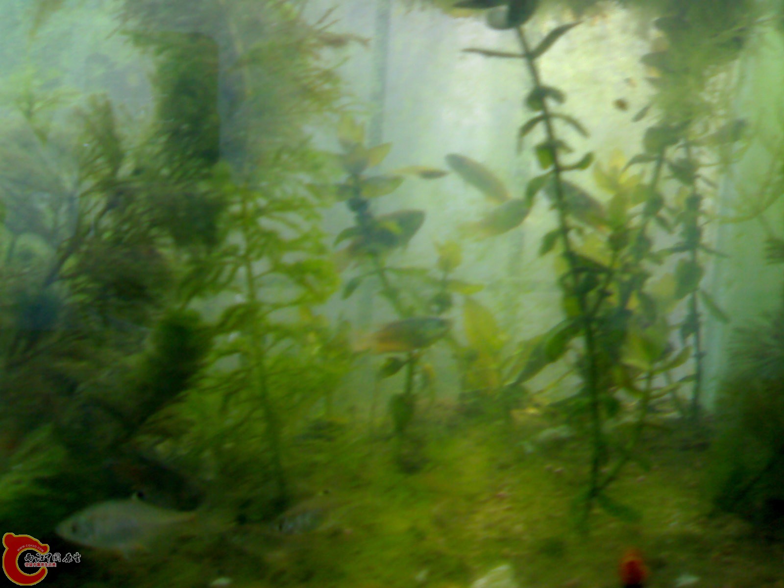 201012011242.jpg