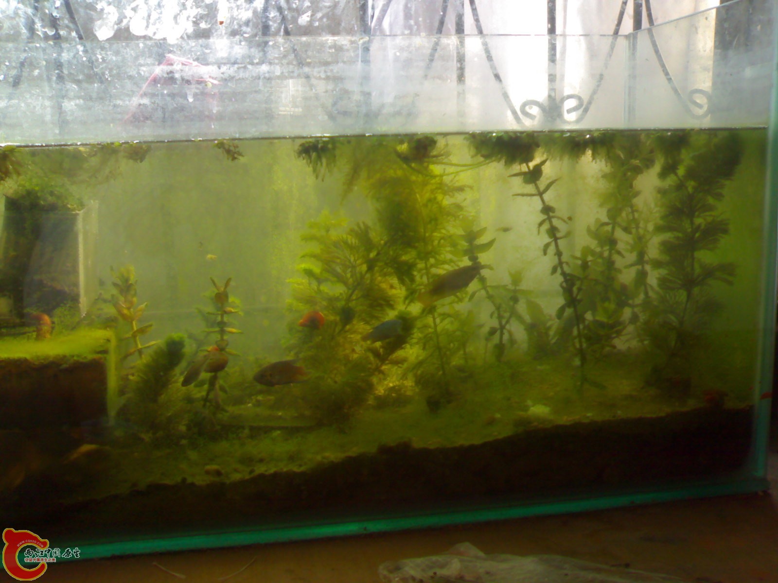 201012011244.jpg