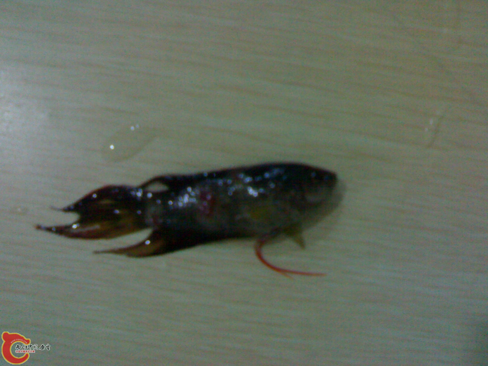 201012011247.jpg