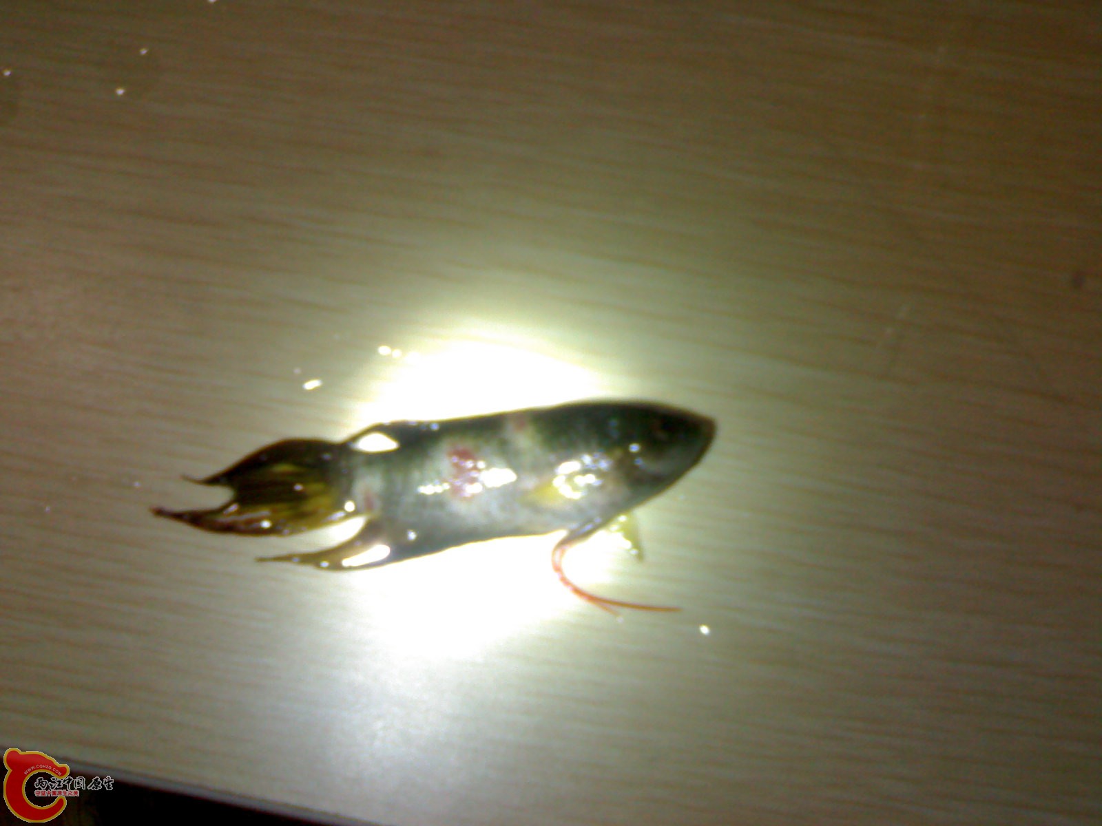 201012011248.jpg