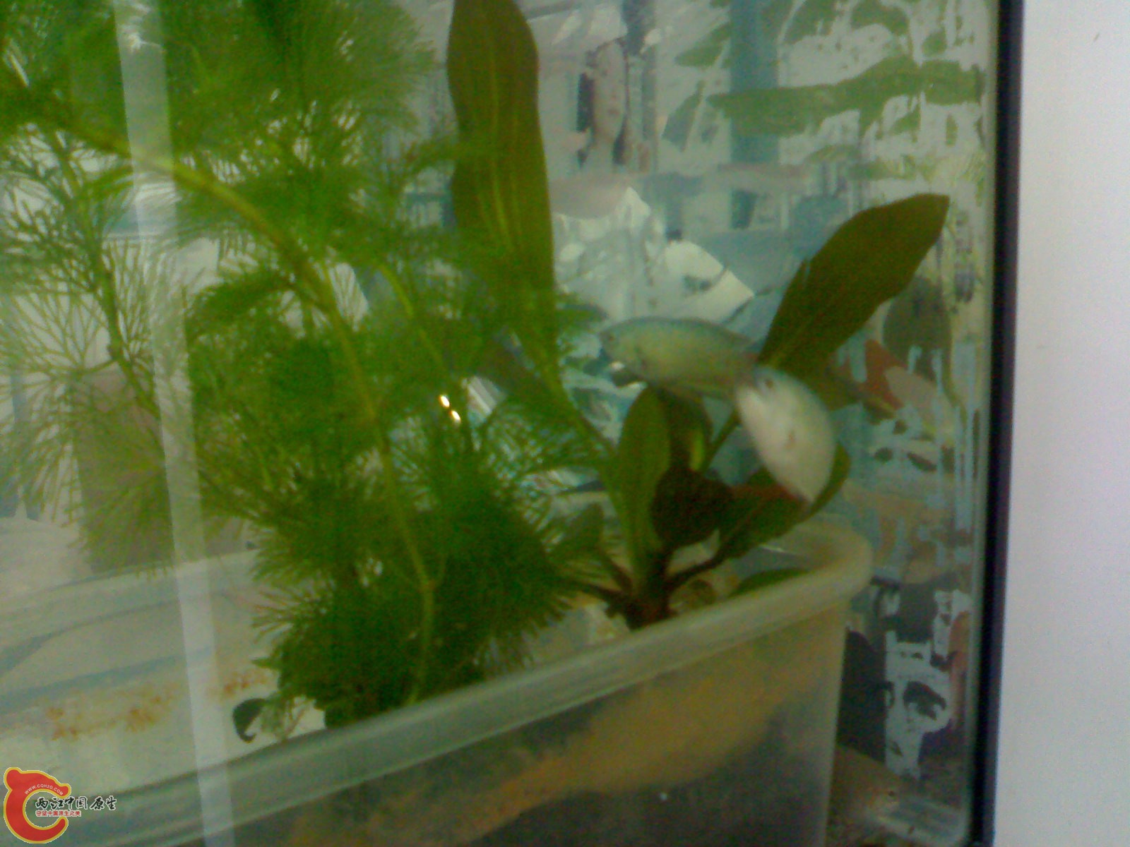 201012021254.jpg