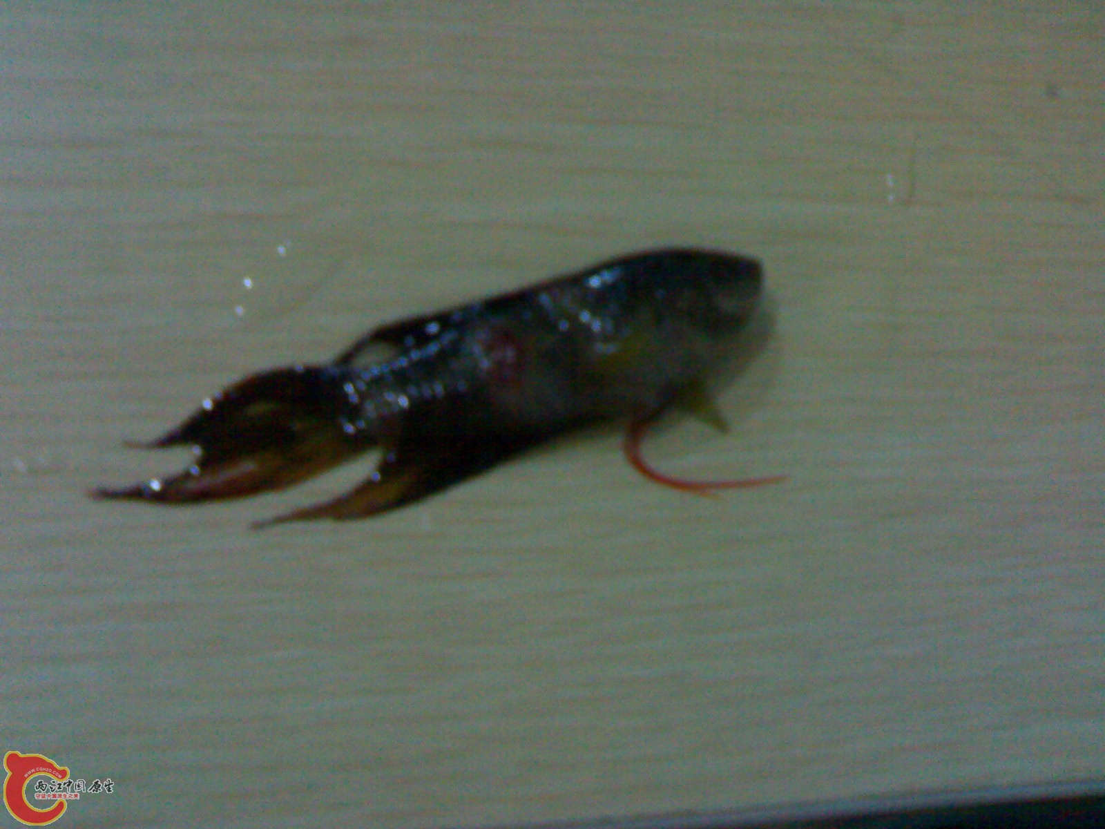 201012011249.jpg