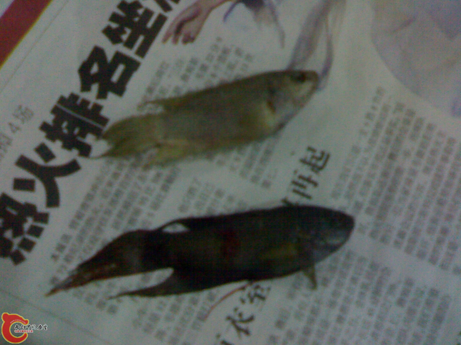 201012011252.jpg