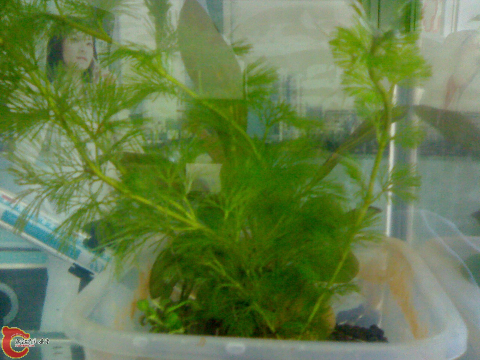 201012021255.jpg