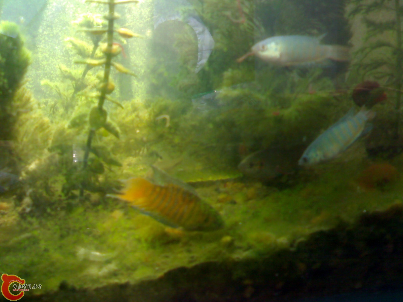 201012021257.jpg