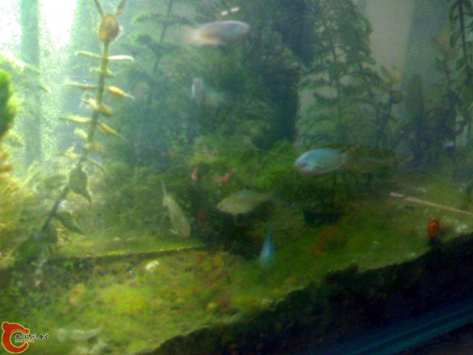 201012021258.jpg