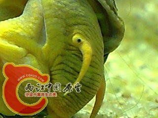 图像024.jpg