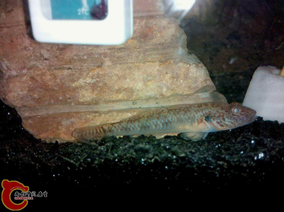 调整大小 2010-12-05_18-16-21_942_成都市_new.jpg