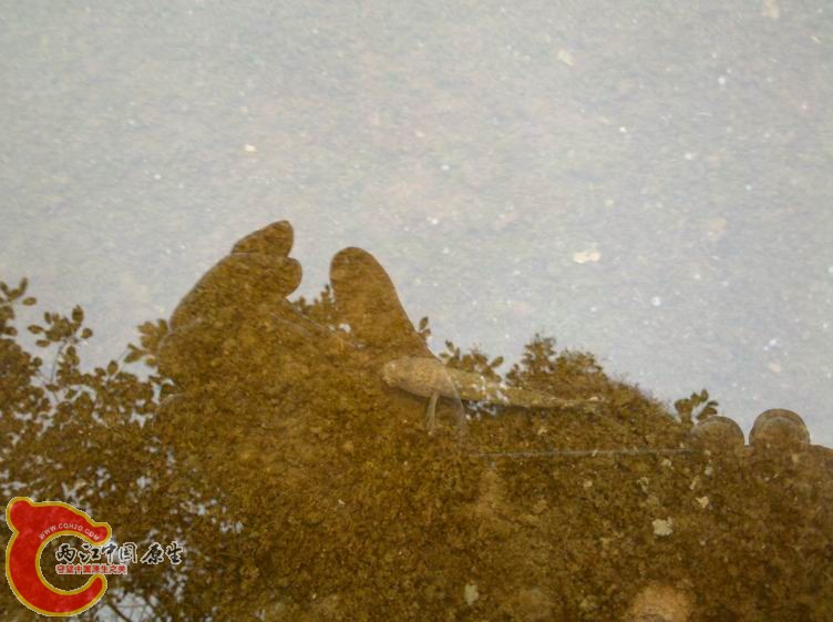 调整大小 2010-12-05_13-24-51_73.jpg