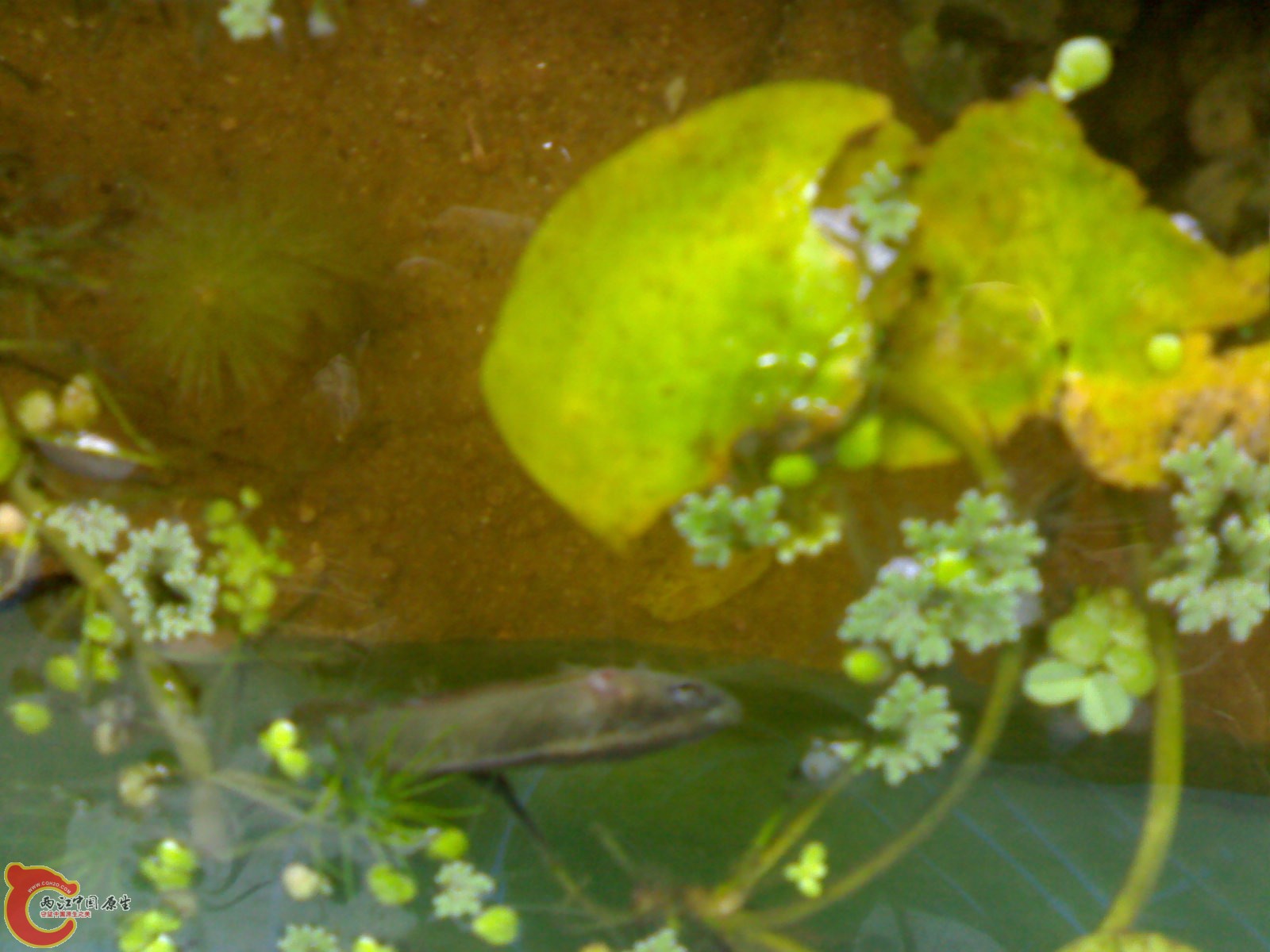 201012051299.jpg