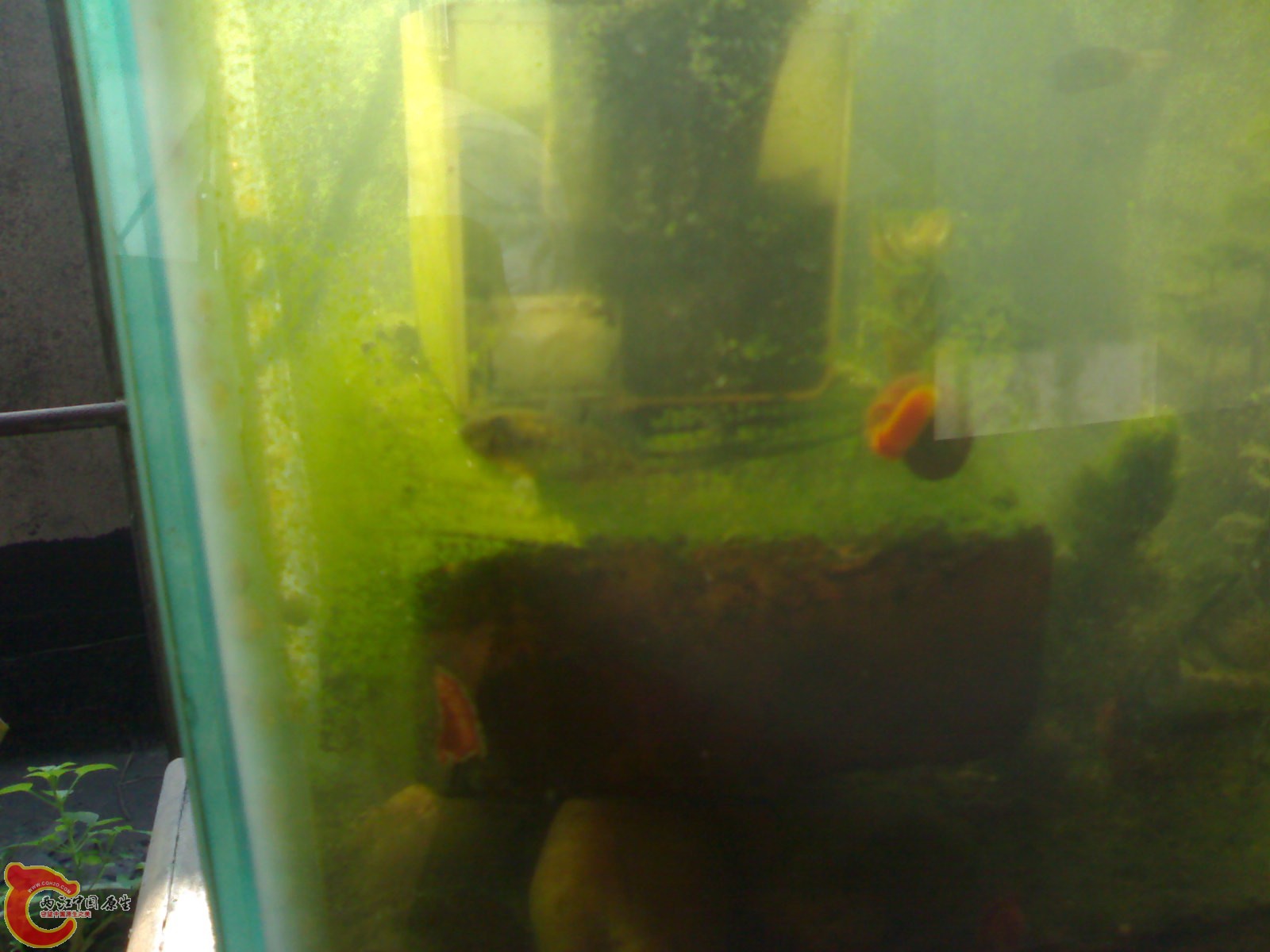 201012051301.jpg