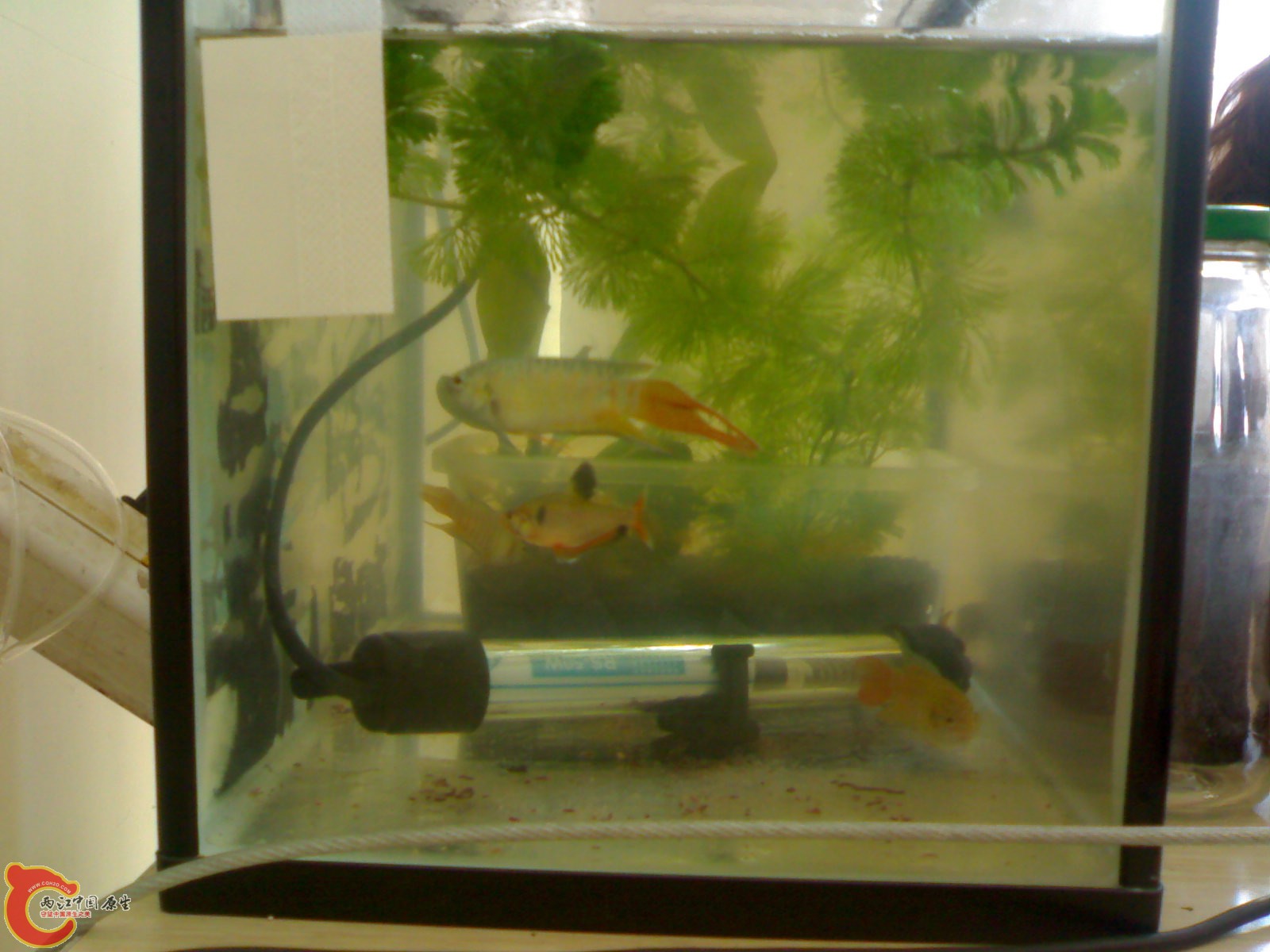 201012051314.jpg