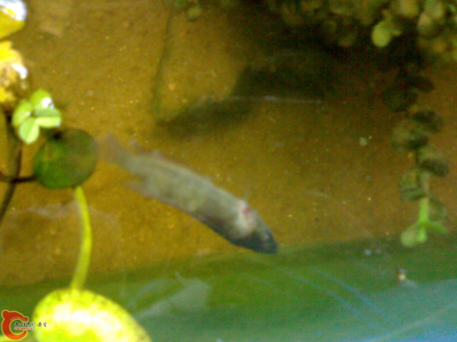 201012051319.jpg
