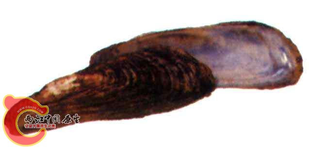 SW00600017.jpg