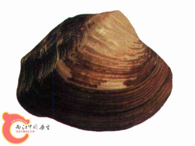 SW00600018.jpg