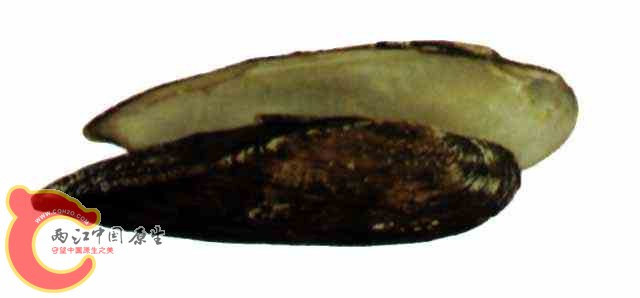 SW00600025.jpg