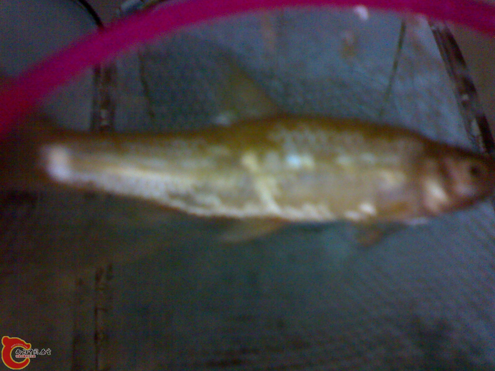 DSC00104.JPG