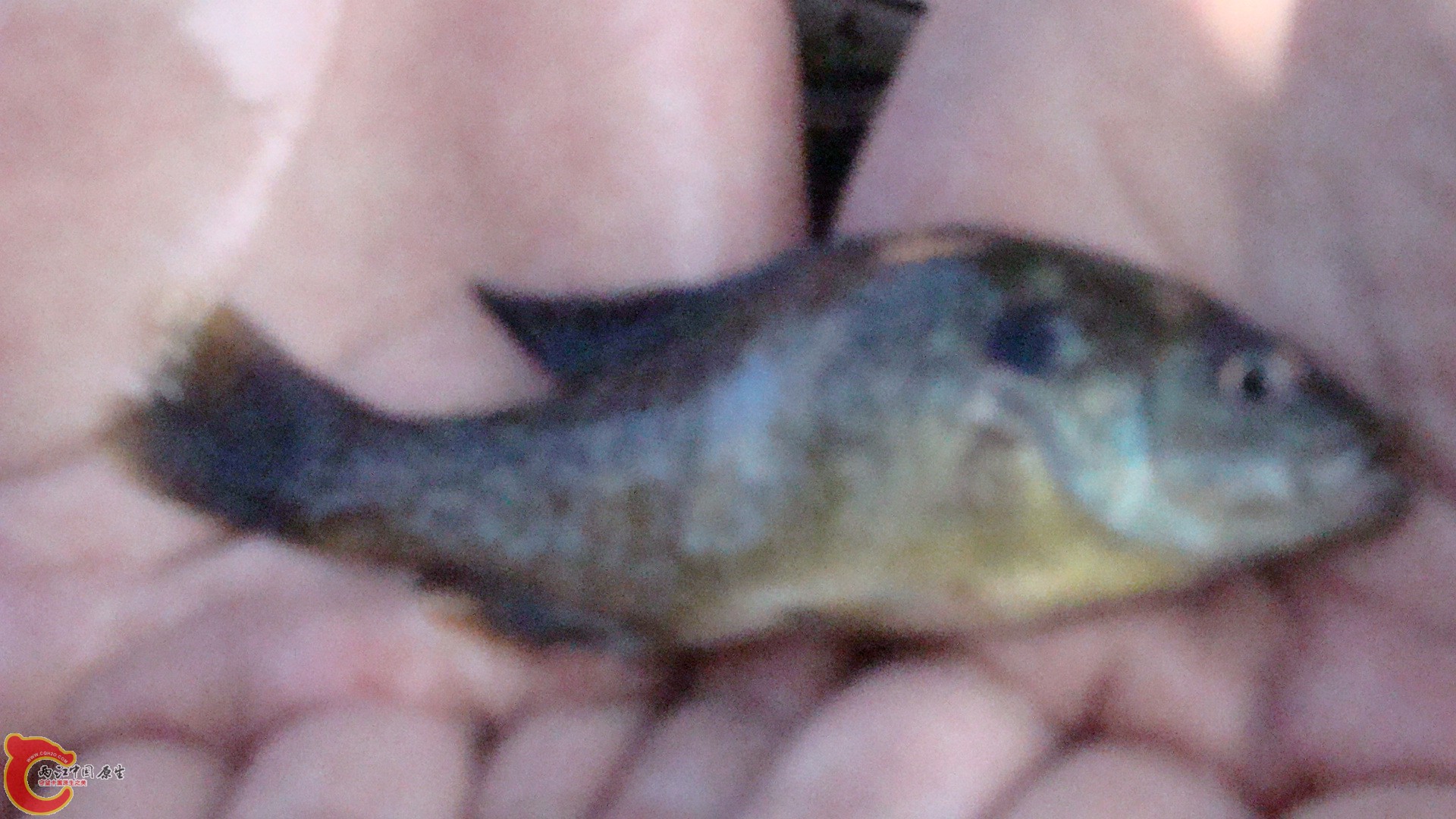 DSC05145.JPG